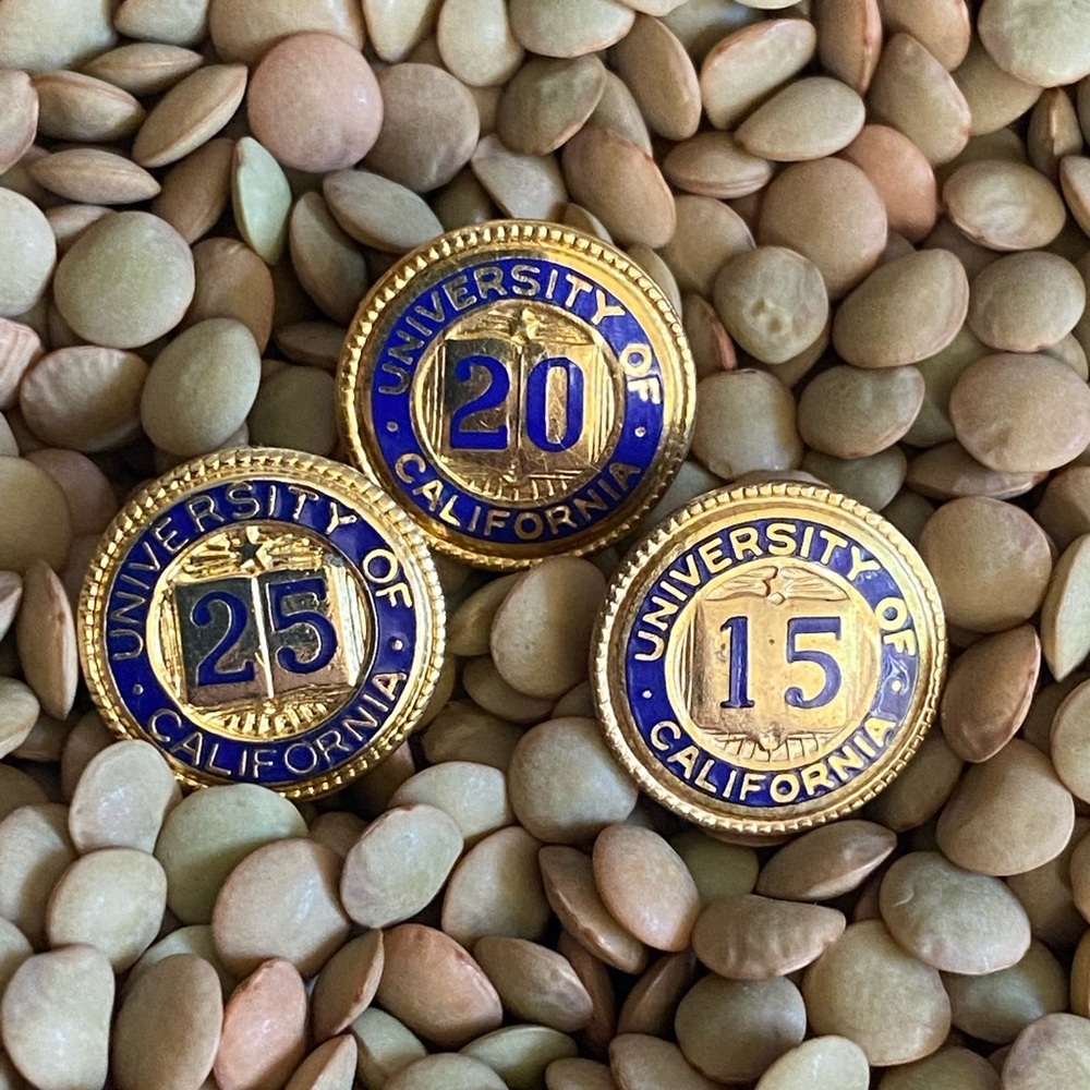 Gold and Blue University of California Pins Set Employee Years Service Vintage